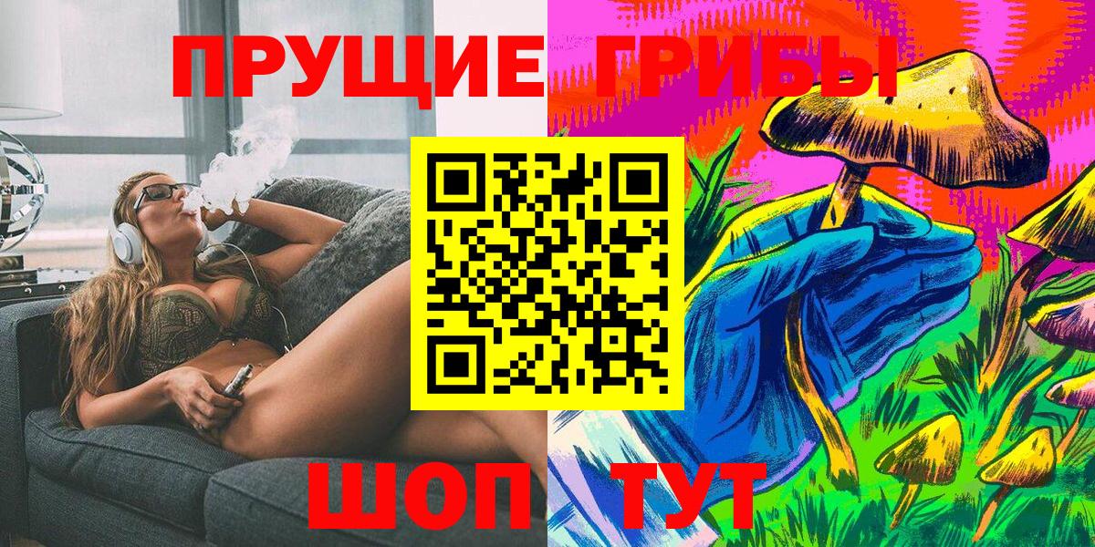 Шали  где продают   Вход с VPN  Галлюциногенные грибы Psilocybe 